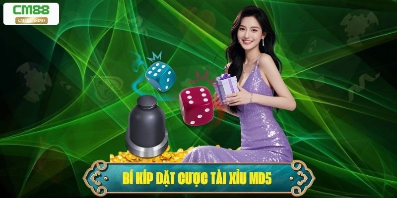 Tài Xỉu MD5 - Trọn Bộ Bí Kíp Đặt Cược Dành Cho Tân Thủ