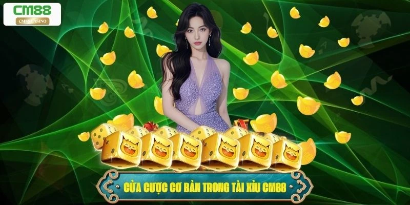 Các cửa cược cơ bản trong tài xỉu Cm88