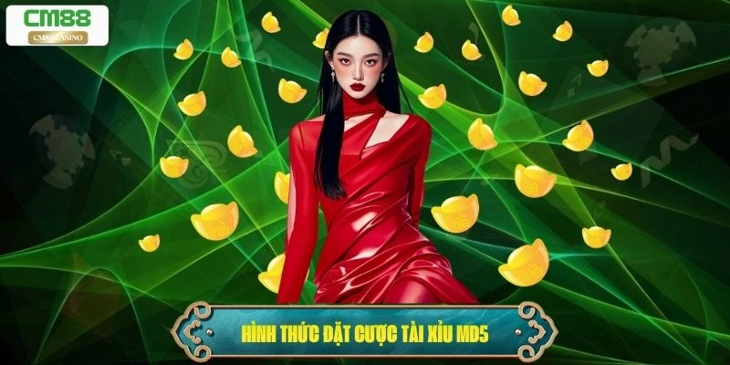 Danh sách hình thức đặt cược thông dụng Tài Xỉu MD5